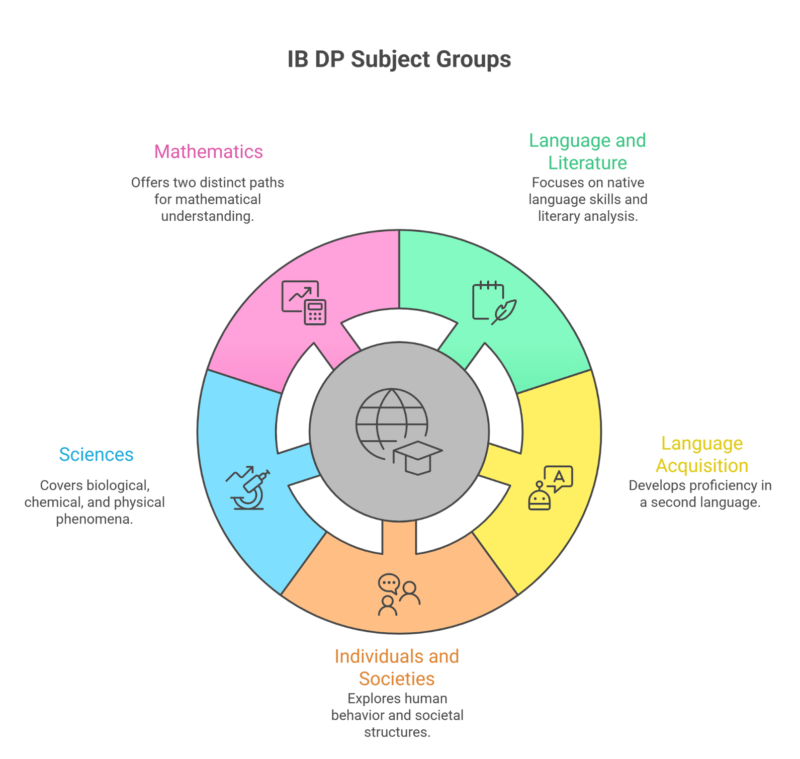 IB DP subject groups