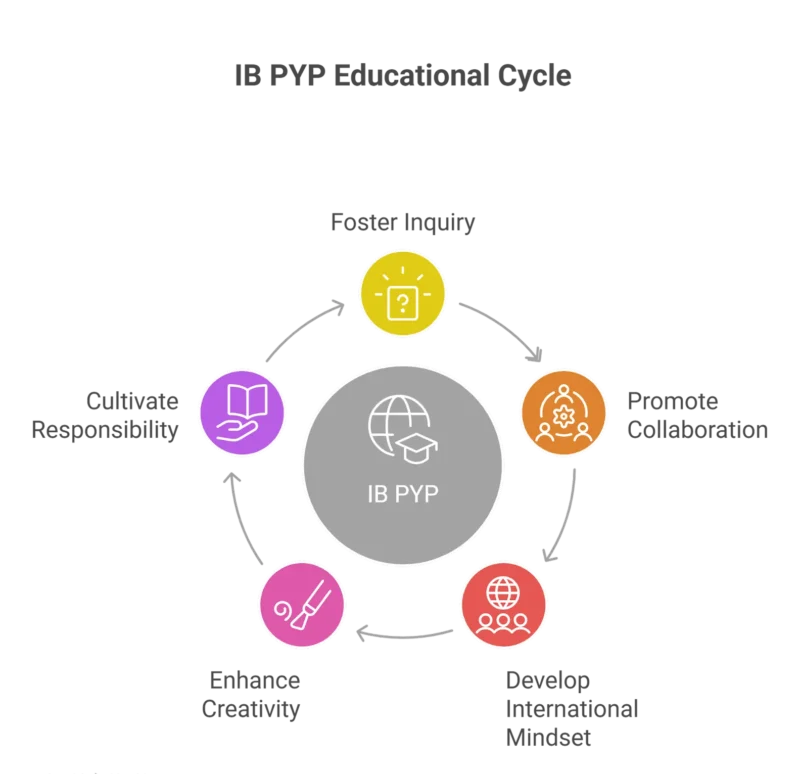 IB PYP EDUCATIONAL CYCLE IB PYP EDUCATIONAL CYCLE