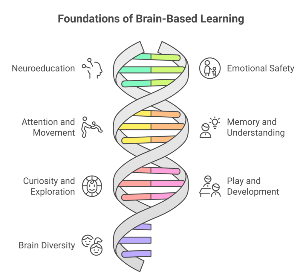 Neuroscience of learning
