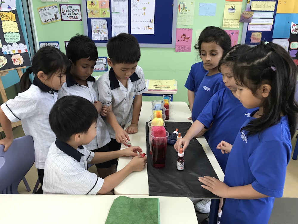 OWIS Nanyang Primary Grade 1 Unit Share STEM Science Experiments -1