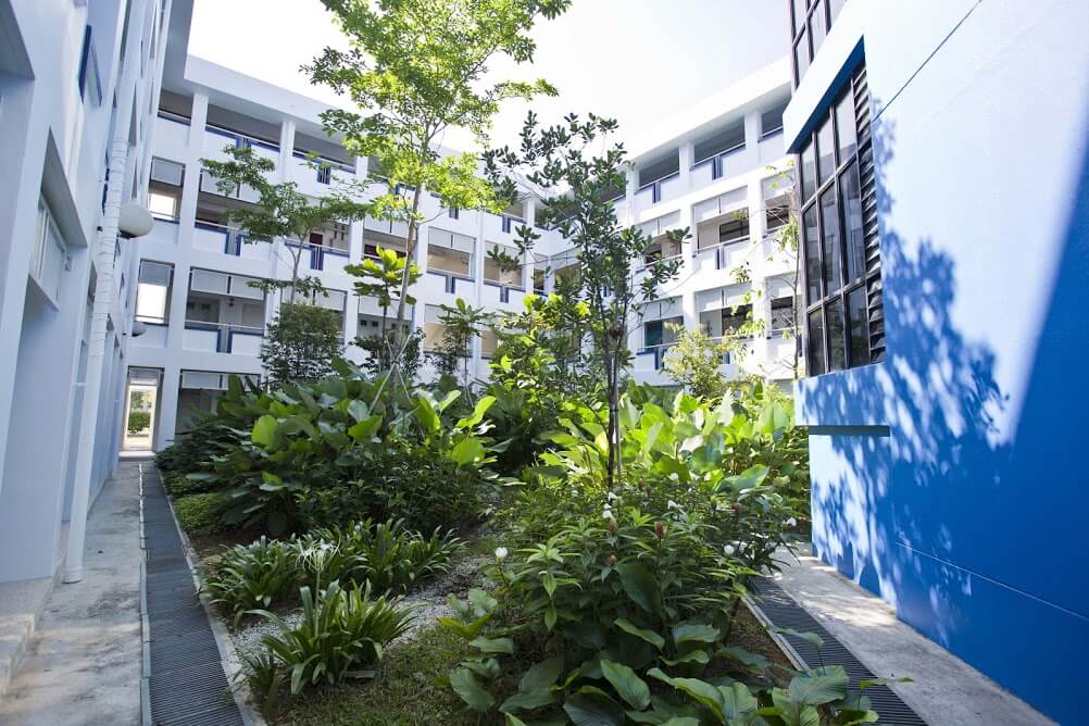 OWIS aims to be a true international school in Singapore