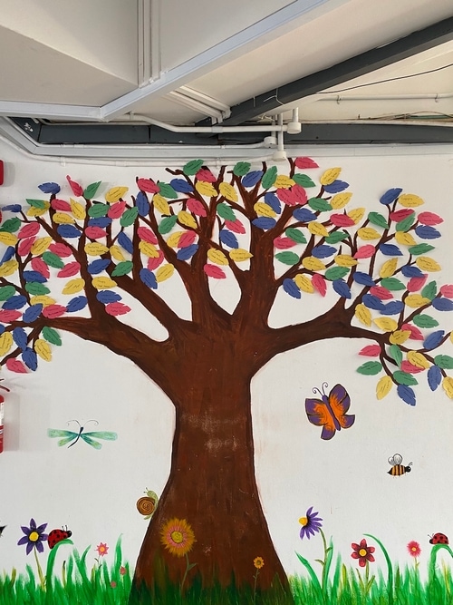 601ad172ba45d44f4574f9b6_IMG_4205-p-500