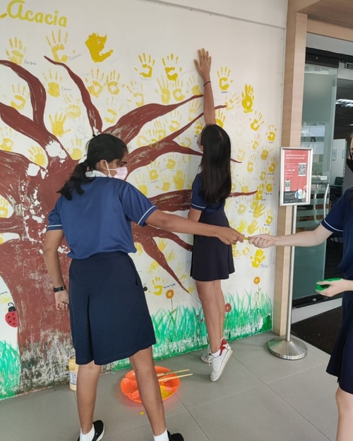 6077ae4f9f6e0bdc01de6299_160165566_4417562578271273_8635835066259038570_n-p-500