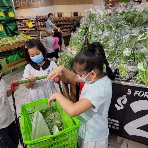 62905f5a50fa4909cd14ff1b_OWIS Suntec Early Childhood outing -2-p-500