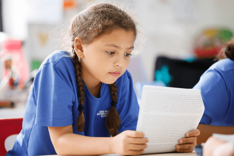 Illustration of OWIS' approach to affordable high-quality education