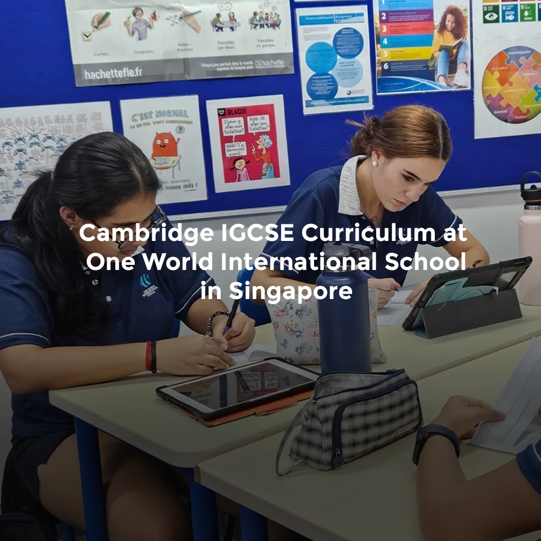OWIS_SG_NY_Web-Banner-Desktop-Photo_1080x1080