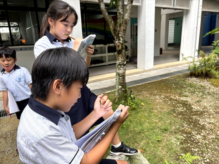 OWIS Nanyang students connecting with nature through outdoor learning in Singapore